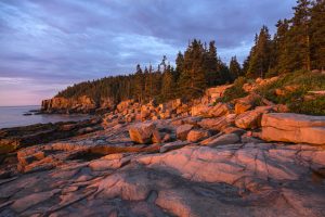 Otter Cliffs, sunrise, Acadia National Park